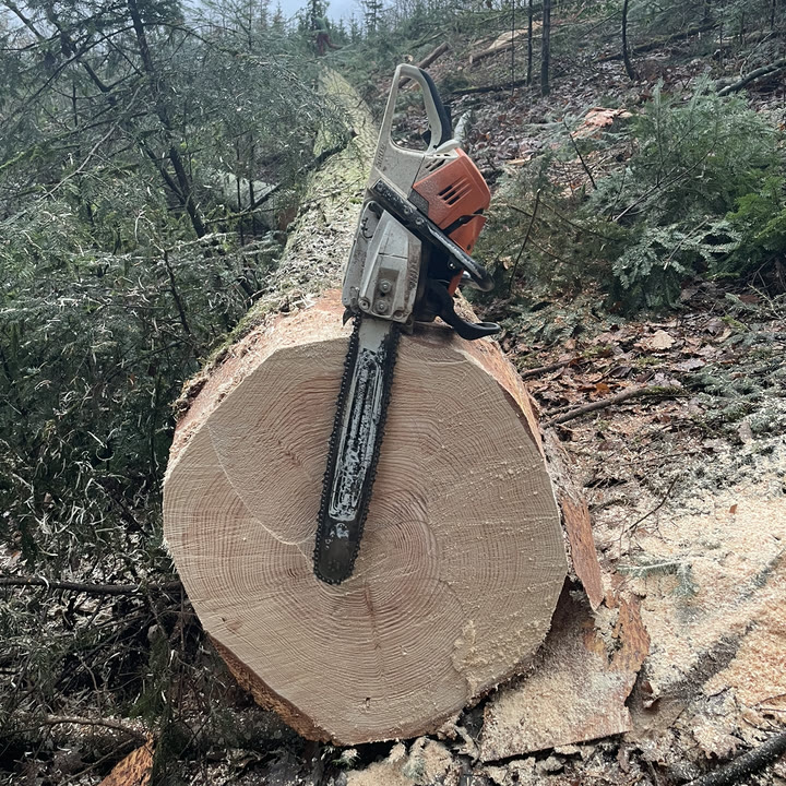 La tronçonneuse Stihl MS 500i, posée sur une grume